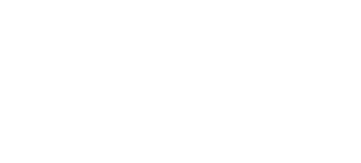 Botle Buhle Brands